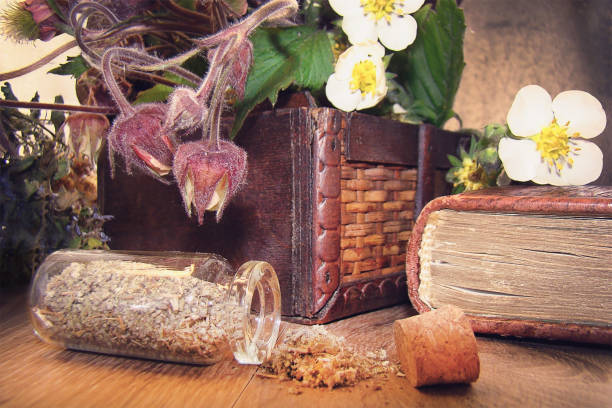 istock Dried herbs and fresh forest flowers 1153257566