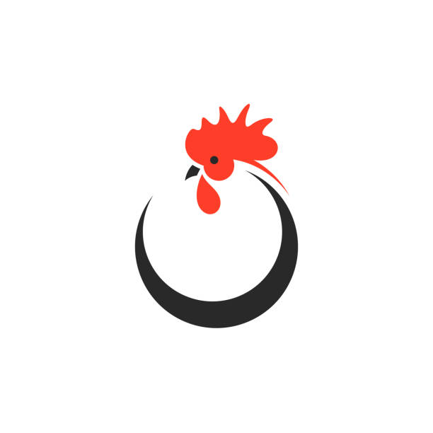 петух. икона. изолированная курица на белом фоне - chicken livestock isolated white background stock illustrations