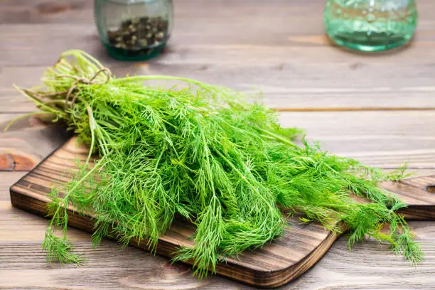 A bunch of fresh dill on a cutting board on a wooden table