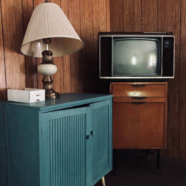 istock Paneled Room with a Television and a lamp 1153262795