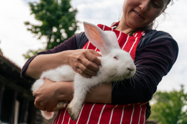 istock Hugs are for the ones we love. 1153266854