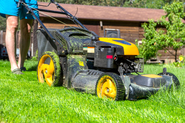 istock Man mows grass with lawn mower on sunny morning in garden 1153267708