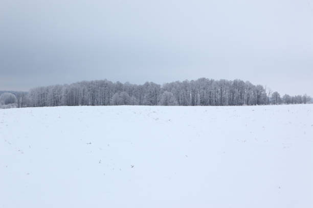 istock Winter scenery full of snow and trees. 1153271139