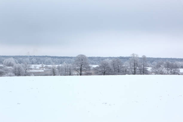 istock Winter scenery full of snow and trees. 1153271898