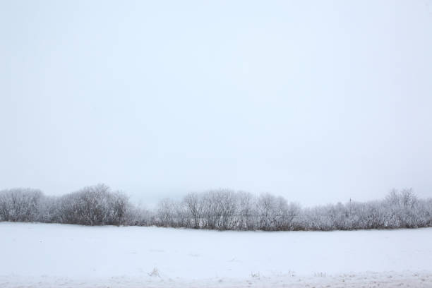 istock Winter scenery full of snow and trees. 1153271972