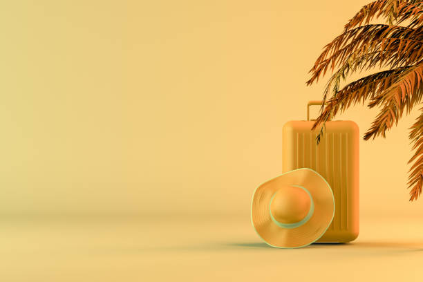 istock Tropical palm tree and suitcase, minimal summer and travel concept 1153272103
