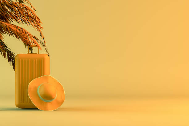 istock Tropical palm tree and suitcase, minimal summer and travel concept 1153272166
