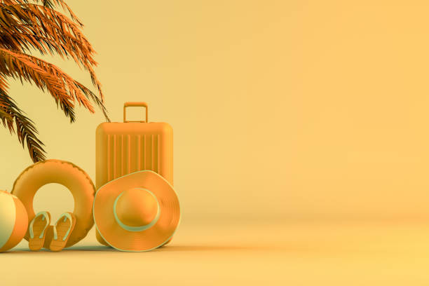 Tropical palm tree and suitcase, minimal summer and travel concept