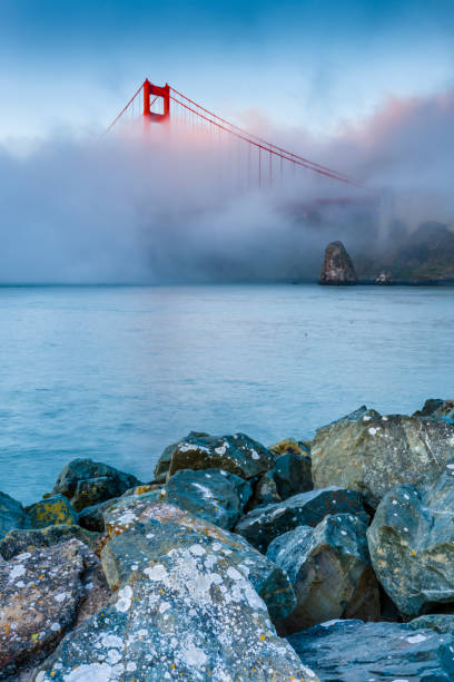 área da baía de san francisco em califórnia - golden gate bridge nature vacations fog - fotografias e filmes do acervo