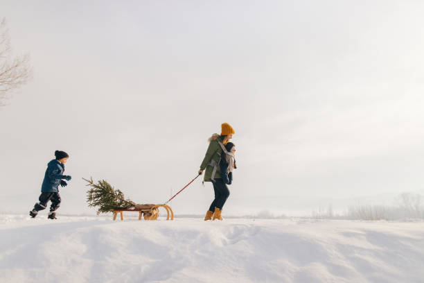 istock Christmas tree for my family 1153273252