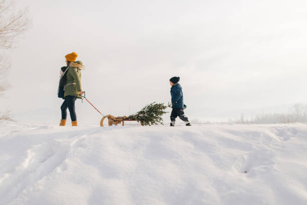 istock Christmas tree for my family 1153273280