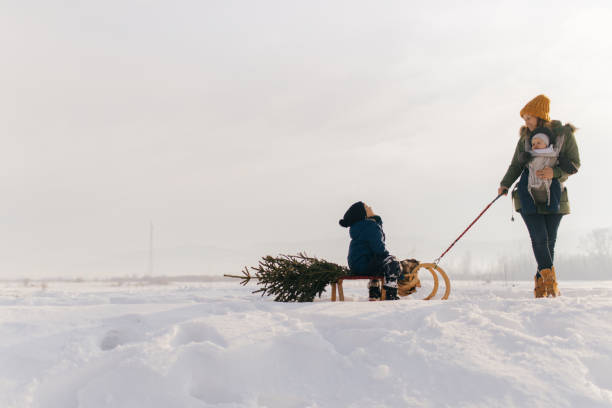 istock Christmas tree for my family 1153273281