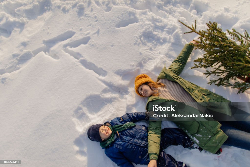 Christmas tree for my little family Photo of a single mother and her boy, in a winter walk, carrying their Christmas tree home Snow Angel Stock Photo