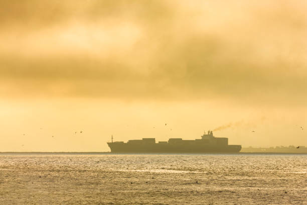 Freighter in the San Francisco Bay area of California at sunrise