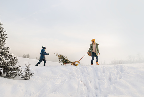 Photo of a single mother and her boy, in a winter walk, carrying their Christmas tree home by sleigh