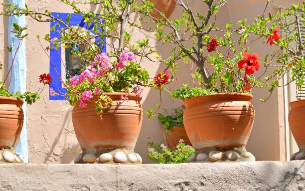 istock Flowers in flowerpots on a mediterranean terrace 1153274647