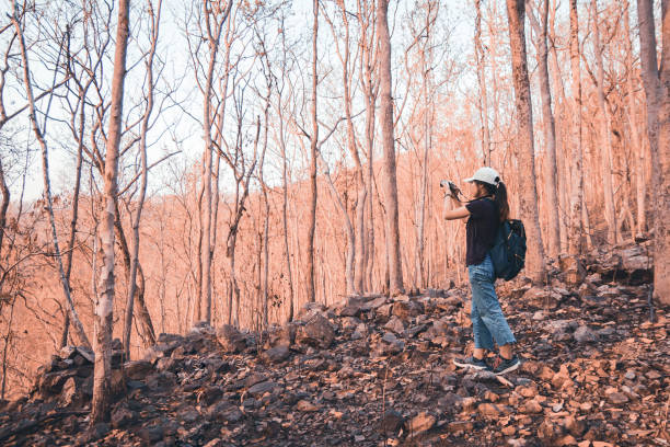 istock Photographer women using Camera DSLR, Mirror less Digital Single Lens Reflex take a photo Mountain tree . Travel Concept. Hiker concept. 1153278537