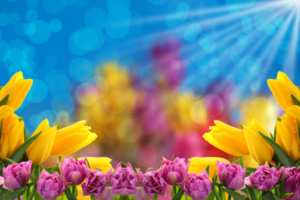 Flowers for the nicest gift or surprise sent by postcard or by e-mail. You can also add a few nice words or wishes and send in any form.