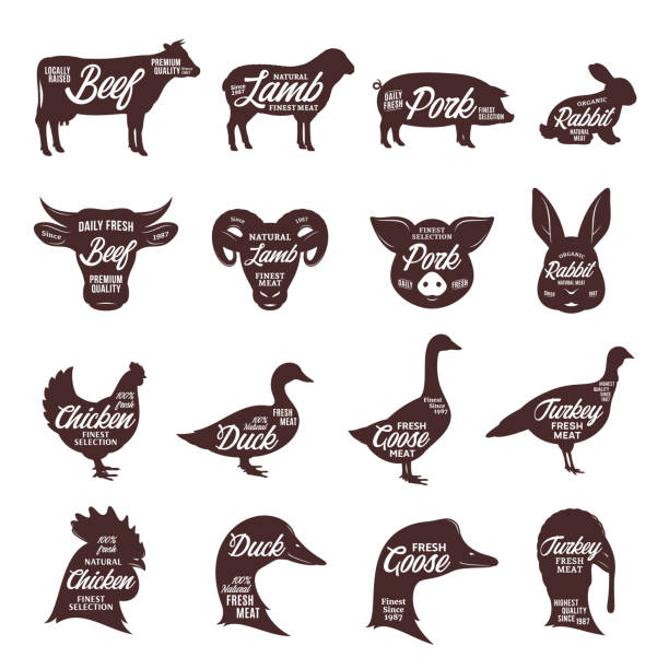 Farm animals silhouettes collection. Butcher shop labels. Set of vector butcher shop labels. Farm animal silhouettes and faces collection for groceries, meat stores, butcheries, packaging and advertising. duck bird illustrations stock illustrations