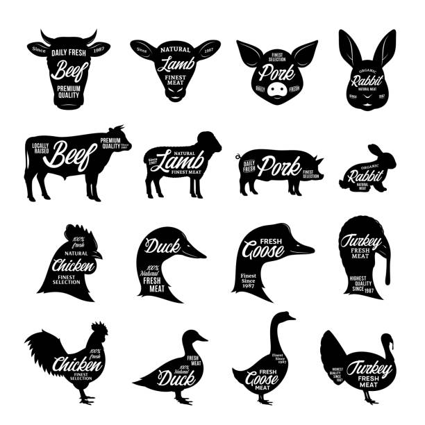ilustrações, clipart, desenhos animados e ícones de coleção das silhuetas dos animais de exploração agrícola. rótulos de açougue. - turkey animal head bird white