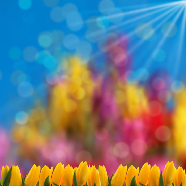 Flowers for the nicest gift or surprise sent by postcard or by e-mail. You can also add a few nice words or wishes and send in any form.