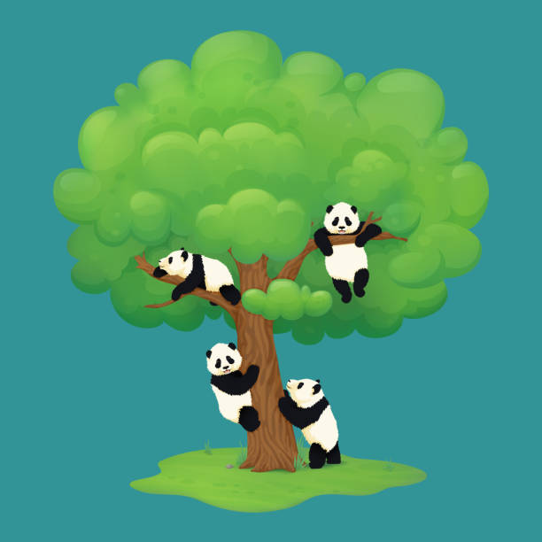 100+ Panda Climbing Tree Stock Illustrations, Royalty-Free Vector