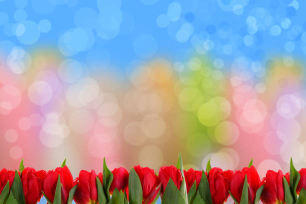 Flowers for the nicest gift or surprise sent by postcard or by e-mail. You can also add a few nice words or wishes and send in any form.