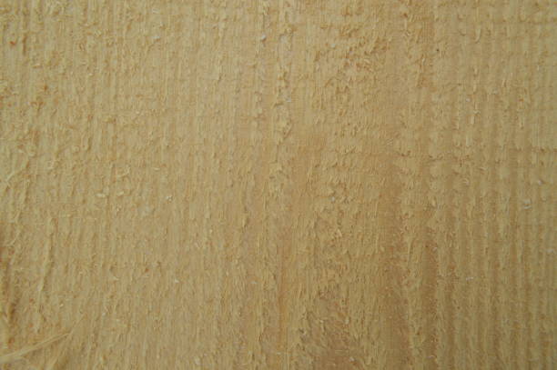 istock Texture of light wood closeup from sawmill 1153283737