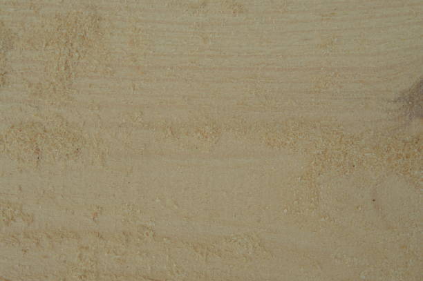 istock Texture of light wood closeup from sawmill 1153283741