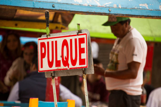 Pulque Vendor Xochimilco, Federal District /Mexico - December 28, 2018: Traditional trajineras, or boats, float through the Canal Ampampilco in Xochimilco, selling Pulque, an indigenous Aztec alcoholic beverage. trajinera stock pictures, royalty-free photos & images