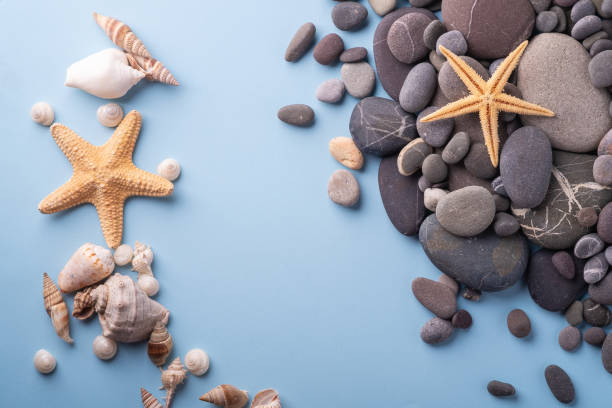 istock Summer texture starfish seashell pebbles top view blue background 1153285924