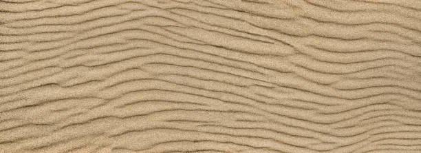 istock Sand ripple texture. Sandy background. Sand close-up 1153287172