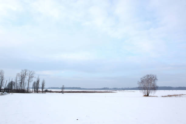istock Winter scenery full of snow and trees. 1153287218