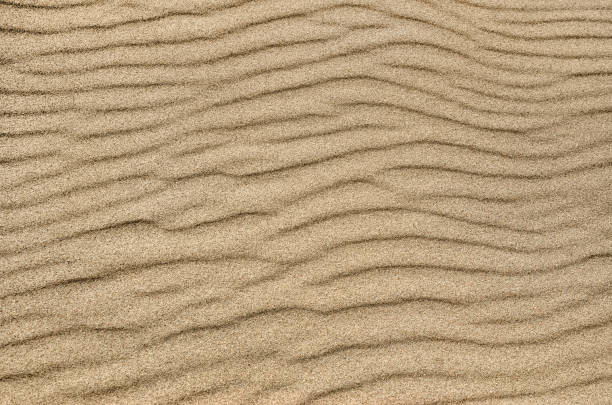 istock Sand ripple texture. Sandy background. Sand close-up 1153287277