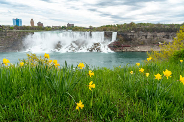 istock Niagara Falls in Ontario, Canada. 1153289663