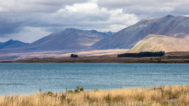 istock Lake Tekapo New Zealand 1153293544