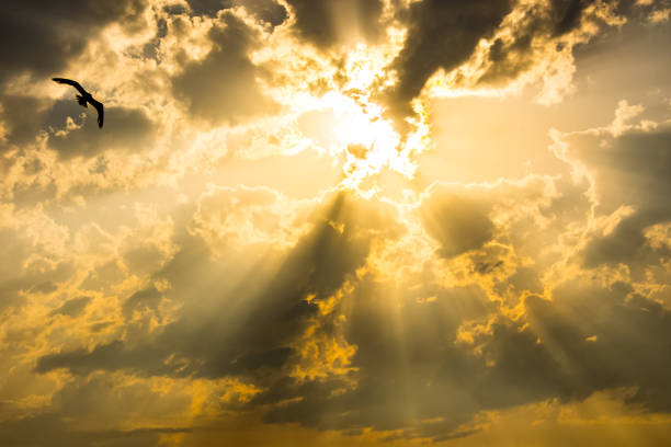 istock The beautiful sky with sunruys and clouds 1153303255