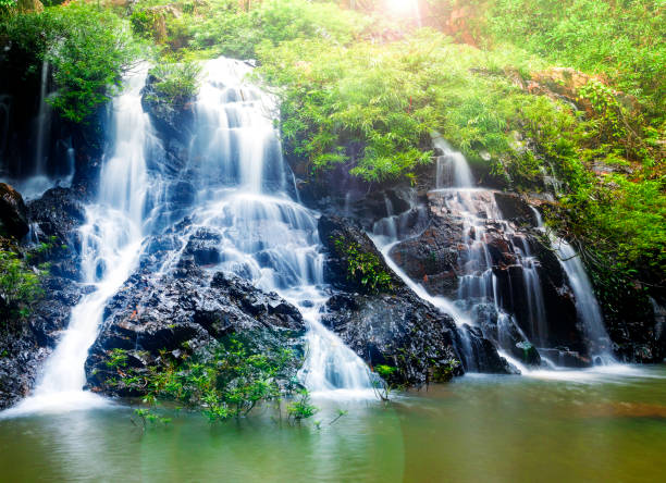 istock The small waterfall in the jungle 1153304313