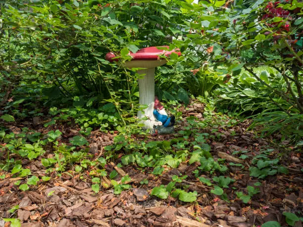 Photo of Gnome Sleeping in the Summer Time