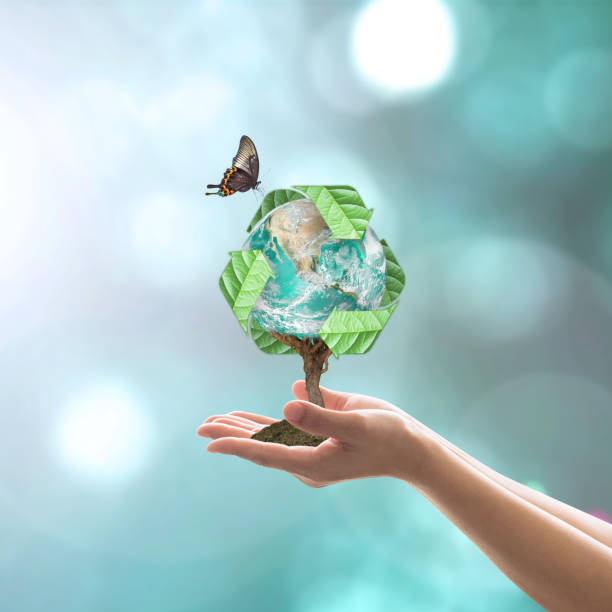 istock Waste recycle management, energy saving awareness, ecological sustainability and tree planting concept: Elements of this image furnished by NASA 1153307516