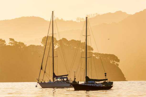 カリフォルニア州のサンフランシスコ・ベイエリア - tourism san francisco bay area san francisco county san francisco bay ストックフォトと画像