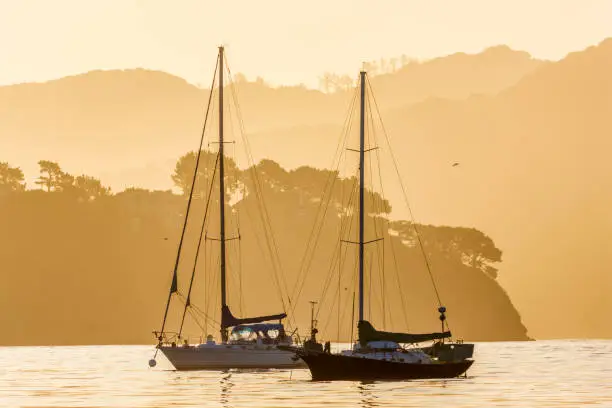 The Sausalito Marina in San Francisco California