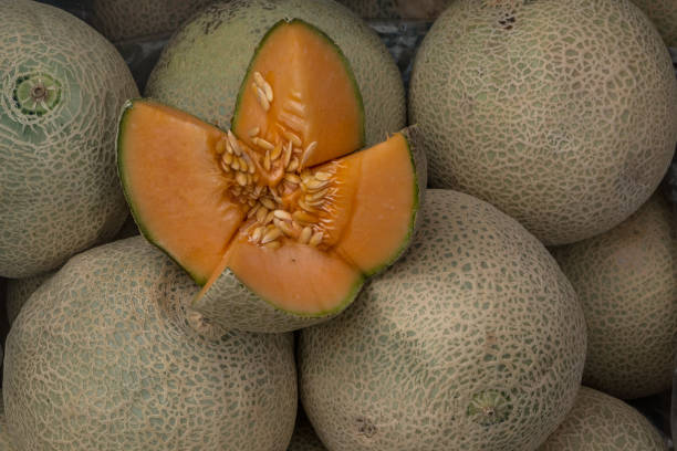 istock Cantaloupe melons in market. 1153308553