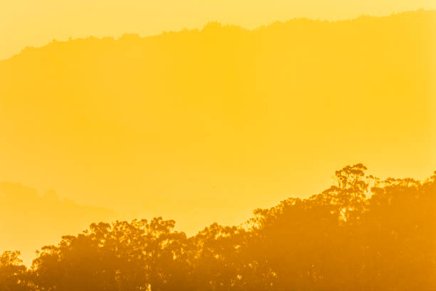 istock San Francisco Bay area in California 1153308617