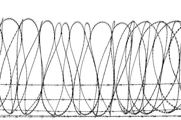 금속 와이어 곡선 배경 보호 - prison architecture black white 뉴스 사진 이미지