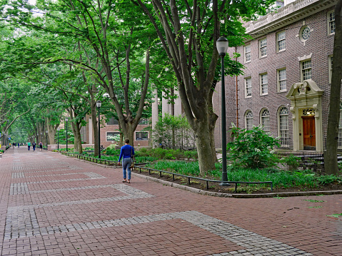 Philadelphia, USA - May 28, 2019:  Locust Walk on the campus of the University of Pennsylvania, a long shady walkway named for the locust trees that surround it.