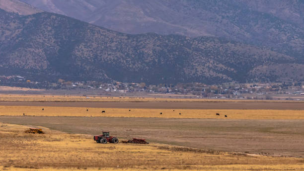 istock Panorama frame Panoramic view of a tractor on a vast grassy field under the cloud filled sky 1153314611