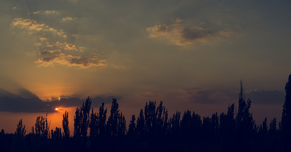 Summer landscape, bright rays of the sun from behind the crowns of trees illuminate the sky and clouds.