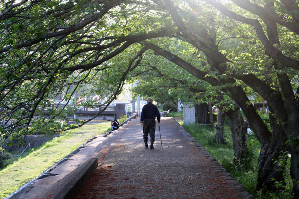 ein alter mann mit stock, der einen spaziergang in einem park in beppu genießt - contemplation silhouette tree men stock-fotos und bilder