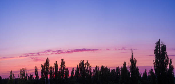 Landscape with dramatic light - beautiful golden sunset with saturated sky and clouds, peaceful nature serene background.